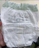 babycare金山茶花拉拉裤L38片(9-14kg)婴儿尿不湿超薄透气新生柔花苞裤 实拍图