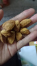 新货手剥巴旦木薄壳大杏仁干果零食年货特产扁桃仁坚果 巴旦木 【袋装净重】250g*2袋 实拍图