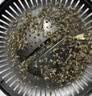 小米宝宝灭蚊灯灭蚊神器驱蚊灯驱蚊捕蚊器吸蚊灯婴儿灭蚊器黑科技室内户外 标准款【插电】150㎡诱捕 实拍图