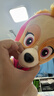 汪汪队立大功（PAW PATROL）汪汪队玩具毛绒全套狗狗玩偶公仔男女孩玩具旺旺队儿童生日礼物 经典款-天天公仔【需选尺寸】 中号-坐或站高约17~22.9CM 实拍图