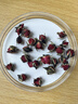 崇芝林国药药材金边玫瑰云南玫瑰花干花蕾花草茶花茶叶130g 实拍图