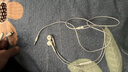 Apple/苹果 EarPods USB-C有线耳机 type-c有线耳机苹果耳机 苹果17有线耳机笔记本耳机游戏音乐 实拍图