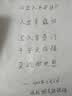 北蔬 细叶韭菜种子苗老品种小叶家庭阳台四季菜种籽 细叶雪韭种子40g 实拍图