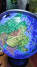 北斗万向浮雕3D立体AR灯光地球仪大号3d立体凹凸京东自营男孩女孩新年礼物生日儿童节开学文具高端摆件 晒单实拍图