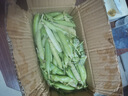 新鲜豌豆四川带壳青豆角水果甜豆荚农家蔬菜 新鲜青豌豆荚净重2斤 实拍图
