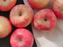 京鲜生 烟台红富士苹果 8粒装 单果160-190g 生鲜水果 实拍图