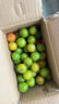 京逸现货现摘李子新鲜三月李应季青李子酸脆珍珠李三华李孕妇水果整箱 1斤|小果【单果约5毛硬币大】 现摘现发+辣椒盐 实拍图
