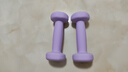 朗威哑铃女士哑铃套装组合小学儿童小哑铃练臂肌塑形初学健身家用器材 【纯铁】丁香紫-1kg*2只 1KG 起【健身塑型】 实拍图