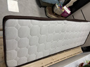 香榭柏兰 椰棕床垫棕垫硬棕榈床垫子 天然乳胶榻榻米床垫定做定制 15CM厚（防螨面料+10CM椰棕+2CM乳胶） 0.8米*2米 实拍图