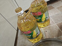金龙鱼 食用油 非转基因 纯正玉米油5L  实拍图