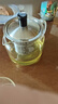 尚明（SAMADOYO）耐热玻璃冲茶壶泡茶壶茶水分离过滤家用大容量泡茶器加厚茶具 单壶 470ml 实拍图