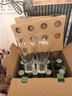 喜力经典330ml*9瓶礼盒装（内含玻璃杯2个）喜力啤酒Heineken 实拍图