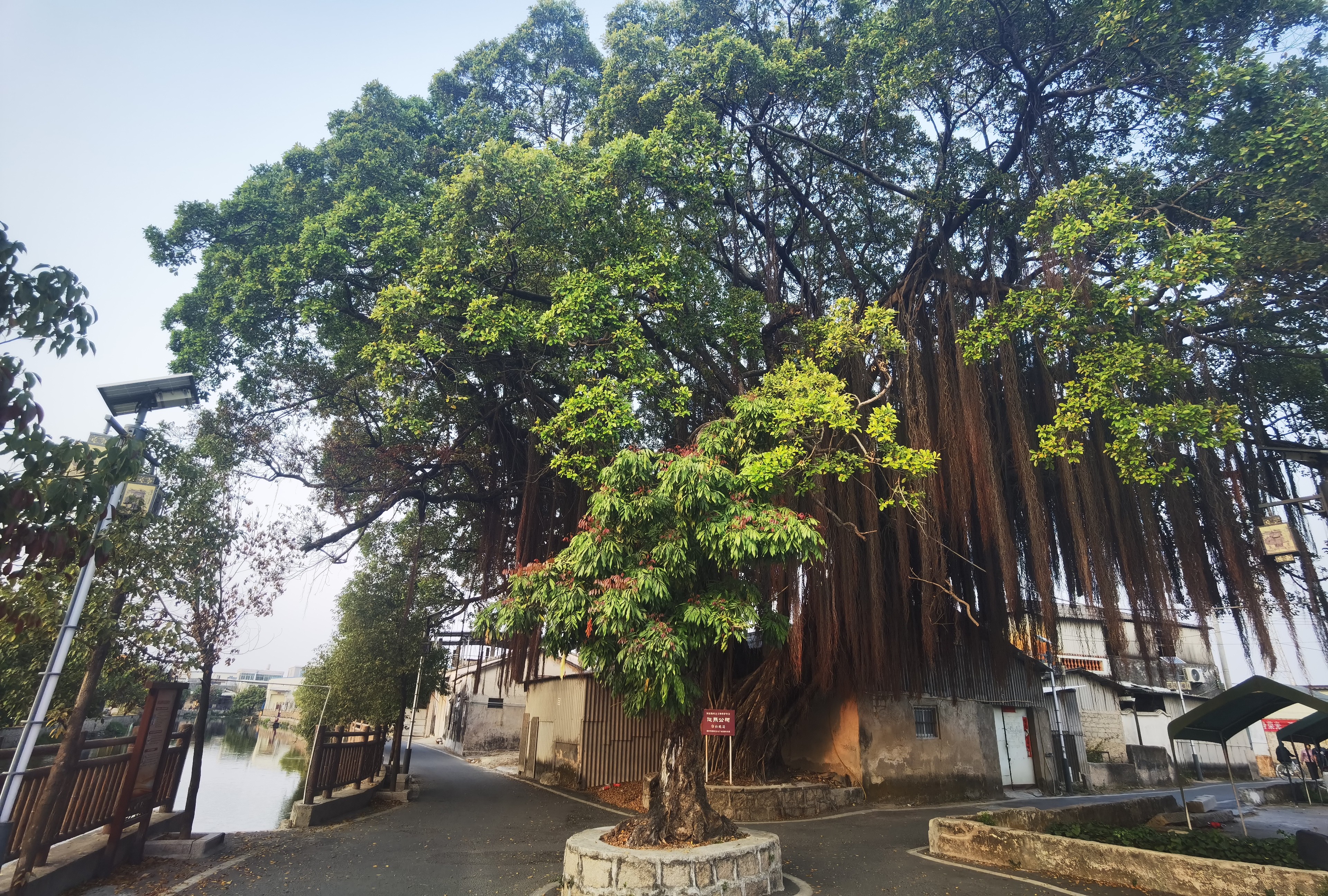 卡贝门挡阻门器门塞限位器顶门抵门旅行防盗酒店防撞防风堵门固定神器 实拍图