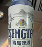 青岛啤酒（TsingTao）经典550ml*18听+精酿白啤500ml*3听 整箱装 实拍图