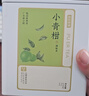 京东京造鲜来多 新会小青柑250g 3年普洱熟茶自己喝茶叶礼盒送礼自营年货 实拍图