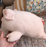 名创优品（MINISO）小猪B-BO翅膀款趴毛绒公仔玩具玩偶抱枕娃娃靠枕生日礼物女 实拍图
