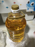 金龙鱼 食用油 非转基因 纯正玉米油5L  实拍图