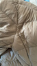 京东洗衣服务 羽绒服/棉服清洗2件 上门取送去渍整形 价值2000元内 实拍图