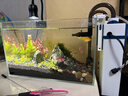 森森（SUNSUN）耀蓝鱼缸壁挂式过滤器YBF-500外置过滤桶【鱼便分离+过滤升级】6W 实拍图
