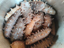 海晏堂 大连淡干海参 50g 12-18只 辽刺参 海参干货海鲜年货滋补礼盒 实拍图