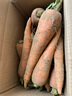 京喜加山东新鲜胡萝卜水果胡萝卜现挖现发蔬菜水果沙地红萝卜减脂 带泥胡萝卜5斤 净重 含箱 实拍图