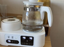 小壮熊恒温调奶器 恒温壶 婴儿暖奶温奶器恒温器 调热奶器 多功能二合一 实拍图
