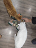 网易严选猫湿粮零食浓汤大口肉罐头鸡肉+三文鱼 85g*24罐 实拍图