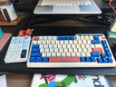 珂芝（KZZI）K20无线三模机械键盘19键带旋钮数字小键盘RGB灯光TOP结构PBT键帽全键热插拔冰川蓝风雨轴V2 实拍图