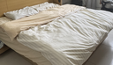 无印良品全棉床上四件套100%纯棉床单四件套 1.8米床笠被套200*230cm 实拍图