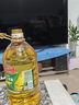 金龙鱼 食用油 非转基因 压榨 一级 纯正玉米油4L（新老包装随机发货） 实拍图