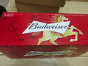 百威啤酒TOP淡色拉格450ml*18听整箱装马年奔奔罐限量版 实拍图