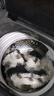 小天鹅（LittleSwan）波轮洗衣机小型全自动家用 8KG 直驱变频 TB80V26DT 以旧换新 国家补贴 京东自营 一级能效 实拍图