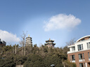 福瑟【现货闪发】实木床轻奢皮艺床简约婚床软包奶油风主卧双人大床 奶油白+10cm椰棕床垫 1.8米*2米 实拍图