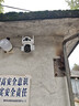 霸天安4g监控无线摄像头无需连wifi网络终身免流量室外监控器家用360度无死角全景全彩夜视手机远程户外 实拍图