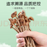 富昌 茶树菇250g 福建特产 茶树蘑菇 煲汤炒菜火锅食材 实拍图