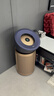 戴森（DYSON）BP04空气净化器 滤除病毒 大面积净化过敏原除甲醛  除PM2.5宠物毛发 医护级 宠护认证 蓝金色 实拍图