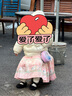 迪士尼儿童包包手提斜跨女孩单肩背包可爱公主艾莎包包过家家玩具粉色 实拍图