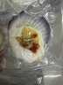 獐子岛 冷冻蒜蓉粉丝扇贝 净重600g 18只 烧烤食材  春节也送礼 实拍图
