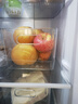 家の物语（KATEI STORY）日本冰箱收纳盒抽屉式保鲜盒食品级蔬菜鸡蛋冷冻专用储物整理神器 实拍图
