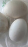 鹤农益得鹅蛋新鲜生鹅蛋农家喂养孕妇蛋生鲜杂粮散养精品礼盒装 6枚 720g 单枚120~150克左右 实拍图