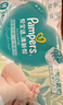 帮宝适超薄透气清新帮拉拉裤新生儿婴儿尿不湿尿片透氧Pro XL34 实拍图