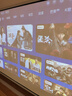 极米Z6X 第五代 高亮版 投影仪家用 轻薄投影机1080P家庭影院 一体式云台国家补贴38节礼物送女友妻子 实拍图