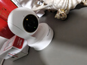 普联（TP-LINK）智能摄像头 家用监控器360度夜视全景 无线网络手机远程可对话 宝宝宠物室内安防监控 IPC43AW全彩 实拍图