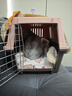 獒少保【带挂碗+垫板】宠物航空箱大号狗猫托运箱猫咪狗狗航空箱运输箱 二号 建议25斤以内 实拍图