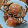 【活蟹】湖鲜阳澄 大闸蟹 去绳足重 2.7-3.0两 10只 鲜活六月黄现货超大螃蟹生鲜礼盒装 实拍图