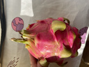 京鲜生越南进口红心火龙果 4个装 单果450-500g 水果 源头直发 一件包邮 实拍图