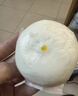 广州酒家流沙凤凰包750g 20个 早餐半成品早茶 包子食品速冻包点开学季 实拍图