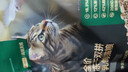 网易严选全价猫粮4.0 成幼猫三文鱼亮毛护肠胃深海鱼虾味10kg【宠物金选】 实拍图