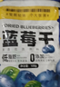 三只松鼠每日蓝莓干500g 蜜饯果干酸甜休闲零食下午茶孕妇儿童健康零食 实拍图