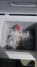 北极熊（BEIJIXIONG）冰柜家用冷柜小型一级能效全冷冻冷藏两用卧式储奶母乳速冻保鲜节能省电100升/200升/300升 单门单温116升【一级能效 全国联保】 116L 实拍图